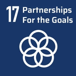 Partnerships For The Goals