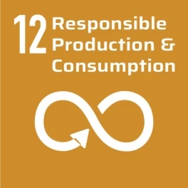 Responsible Production And Consumption