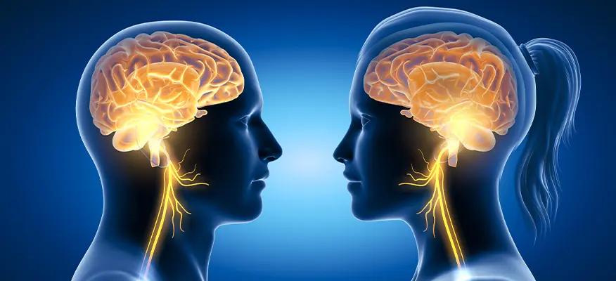 Vagus Nerve affects mind and body