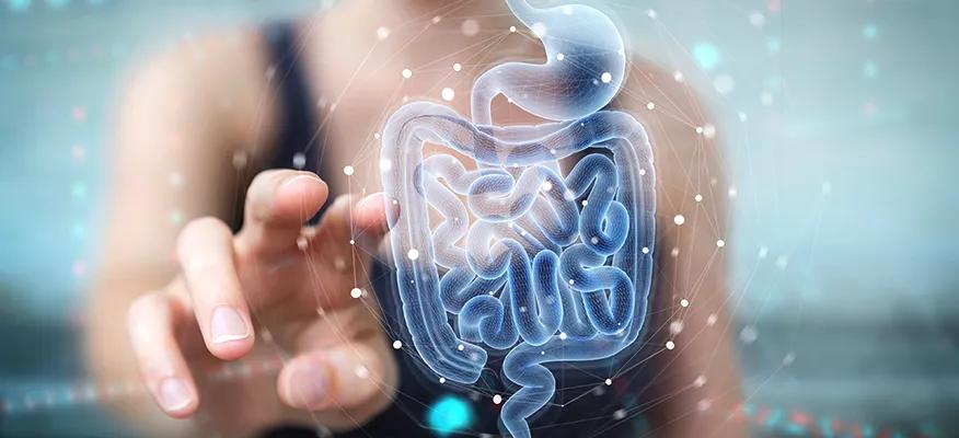 How diabetes and gut health are related