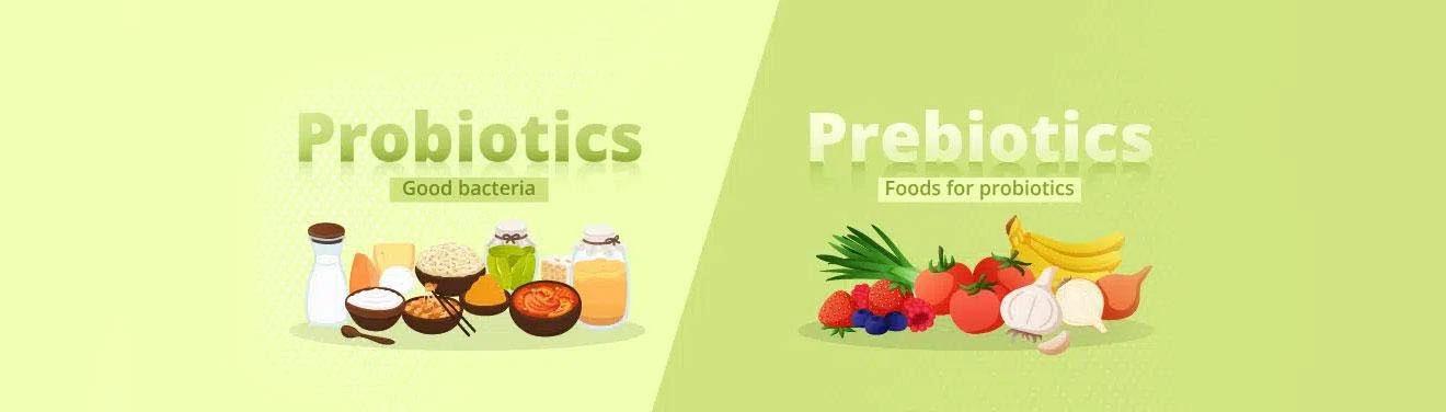 Probiotics And Prebiotics