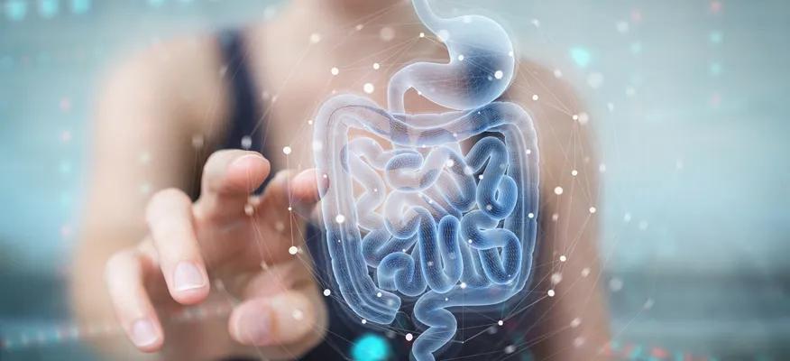 Probiotics: What Are They And How Do They Work?