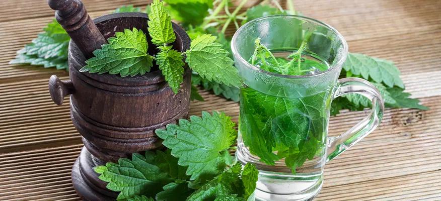 Drink These Seven Herbal Beverages To Relieve Oxidative Stress