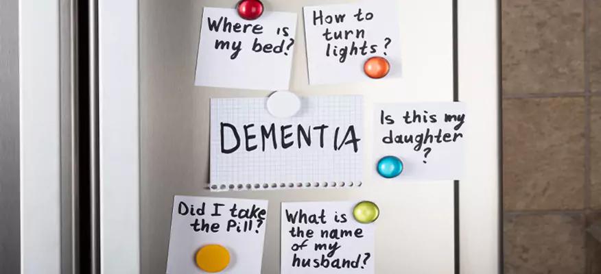 Reduce The Risk Of Dementia