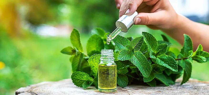 Nurturing Health with Nature: The Peppermint Pathway