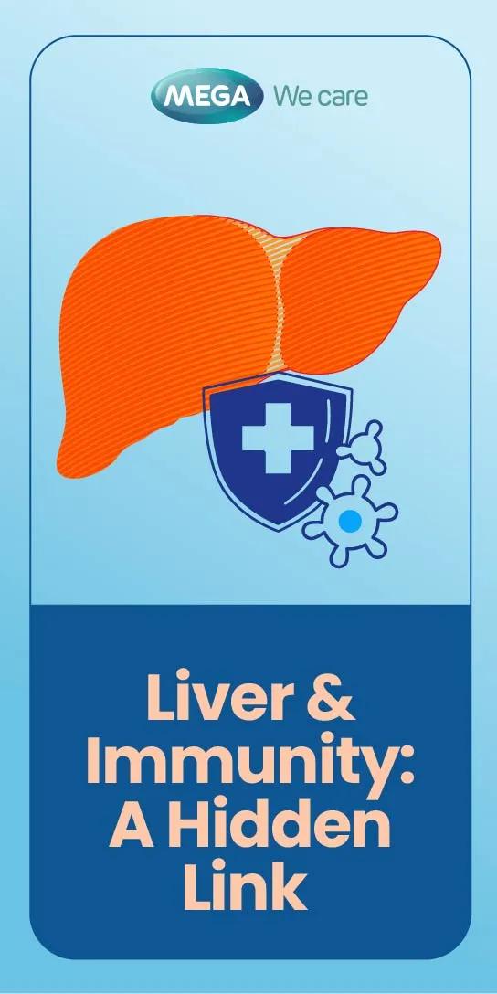 Liver And Immunity